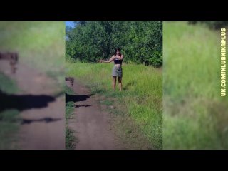 tatiana kovalenko gets perverted with a zucchini in an open field.