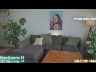 aspenwild 2026 02 19 02 03 35 195