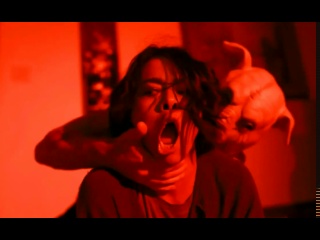 porn   she's 47   a maniac attacked a woman and forced her   porn sex milf mature forced forced   dana vespoli big ass